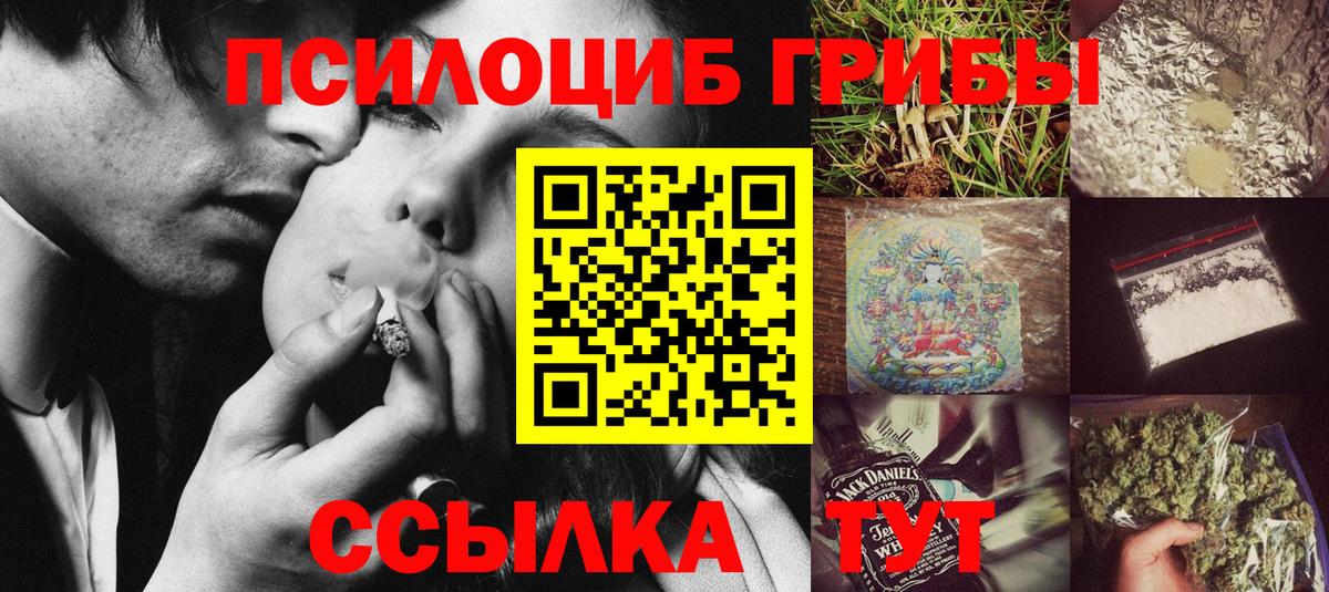 Дивногорск  Псилоцибиновые грибы мухоморы  Вход с VPN 