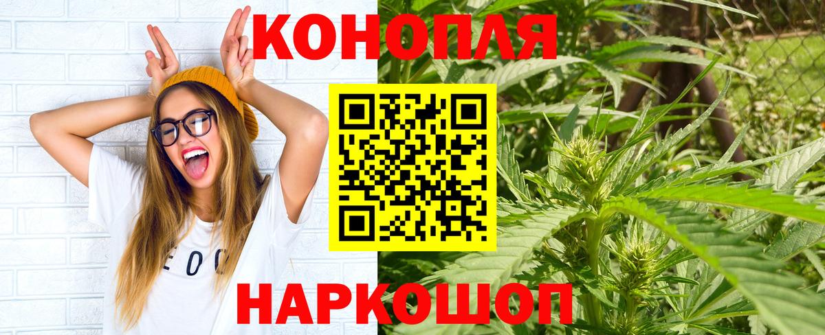 Шишки марихуана семена Дивногорск